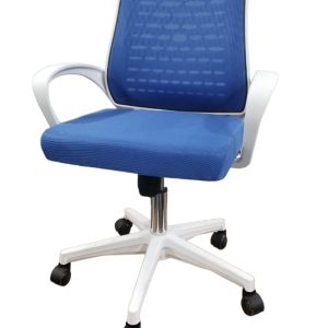 Revolving Chair Cane